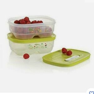 Tupperware Fridgesmart Minis